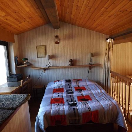 אמלי-לה-באינס-פללדה T3 Tres Agreable, 2 Terrasses, Bien Place מראה חיצוני תמונה